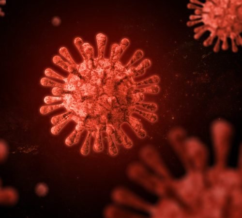 microscopic-red-coronavirus-render-on-dark-backgro-2026-09-23-21-25-03-utc.jpg-scaled.jpeg